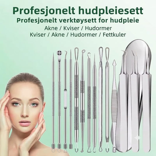 Hudrensesett i rustfritt stål